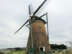 佐倉のオランダ風車