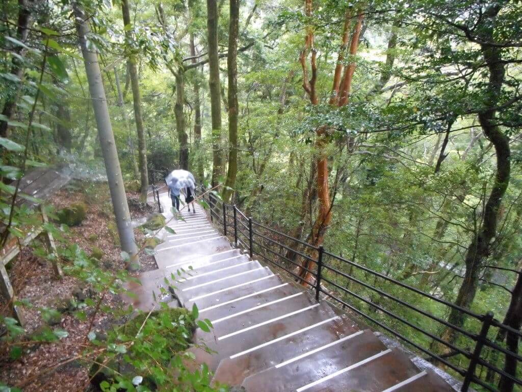 浄蓮の滝の階段