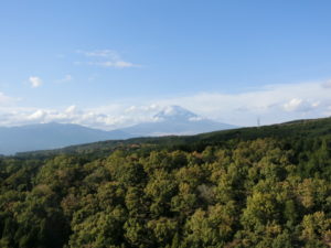 三島スカイウォーク 料金が高い 割引はある 混雑や所要時間についても