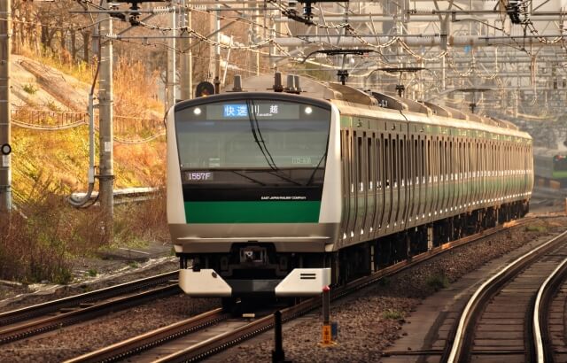 レイアウト概要 Nパークとだ