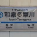 izumi-tamagawa