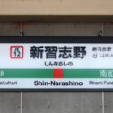 shinarashino