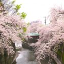 itabashi-futaba