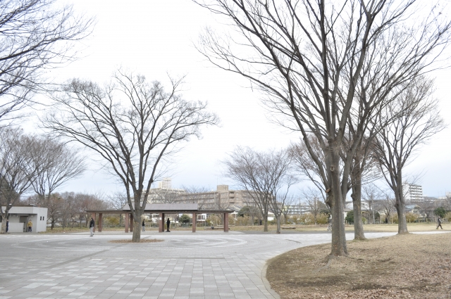 【東村山中央公園】駐車場はどこ？周辺の最大料金の安い駐車場も解説。