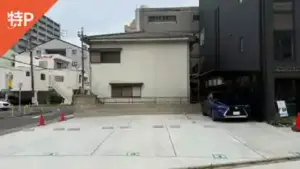 shineicho1