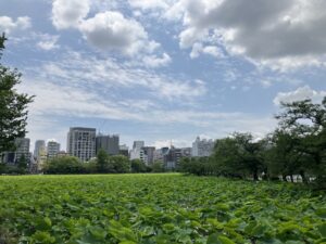 ueno