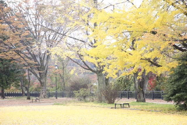 【仙台市西公園・櫻岡大神宮】無料駐車場あり！周辺の安い駐車場も解説。