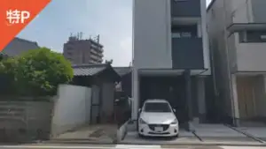 zepp