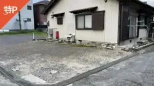 setoshi2