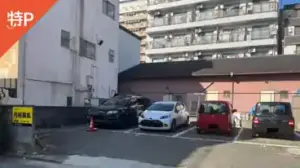 shinkaichi