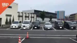 tajimi3