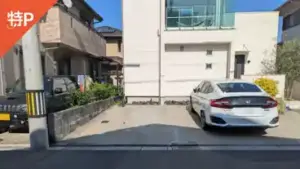 tsueki