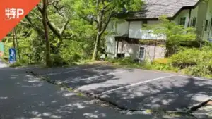ashinoko