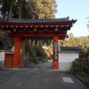 mimurodo