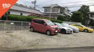 ikeda2