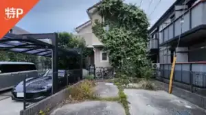 tsuga