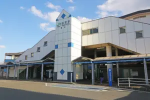 tsuga