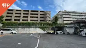 eda