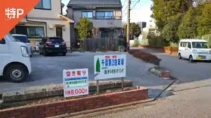 yachiyomidori