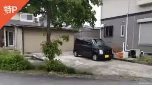 sagae