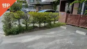 matsumoto