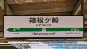 hakonegasaki