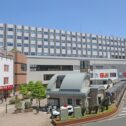 wakoshi