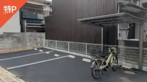 yamashina